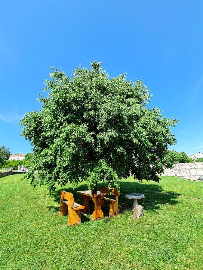 Guesthouse Casa Barbaro โรวินสโก เซโล ภายนอก รูปภาพ
